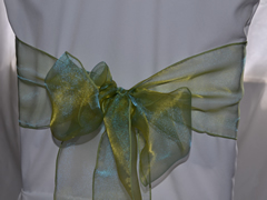 Organza Chair Sash